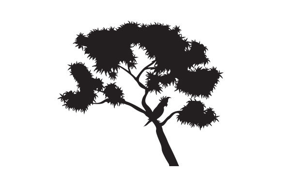 Black Cockatoo on Gum Tree Silhouette