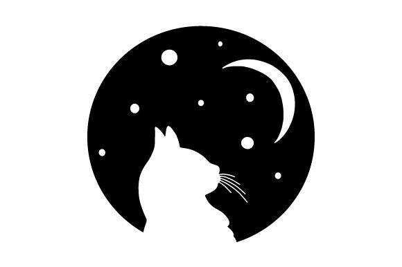 Cat and Moon