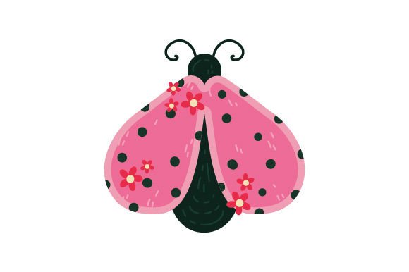 Colorful Spring Bug, Ladybug