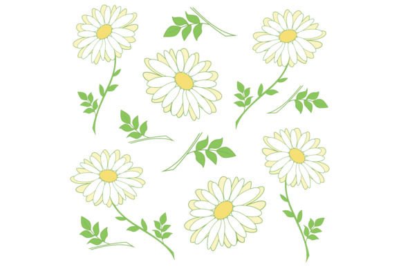 Daisy Pattern