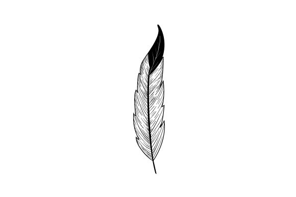 Eagle Feather