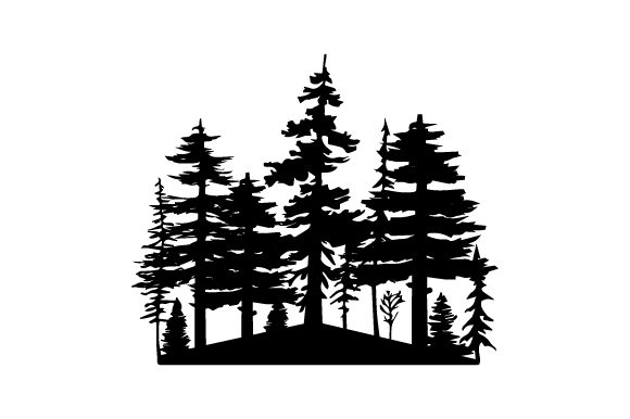 Forest Silhouette