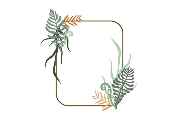 Frame of Ferns