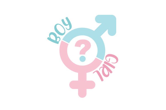 Gender Reveal