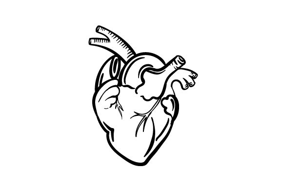 Human Heart Line Art