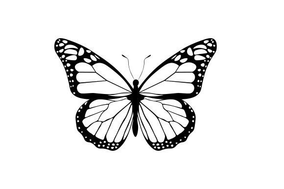 Intricate Cut Butterfly