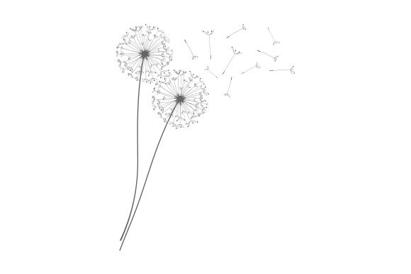 Dandelion