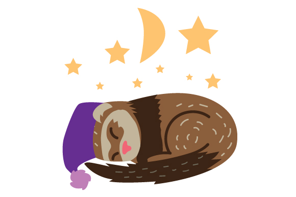 Sleepy Ferret
