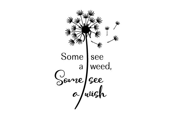 Some See a Weed, Some See a Wish