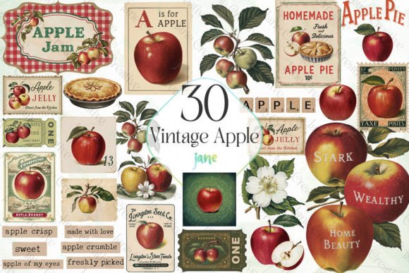 Vintage Apple Sublimation Bundle